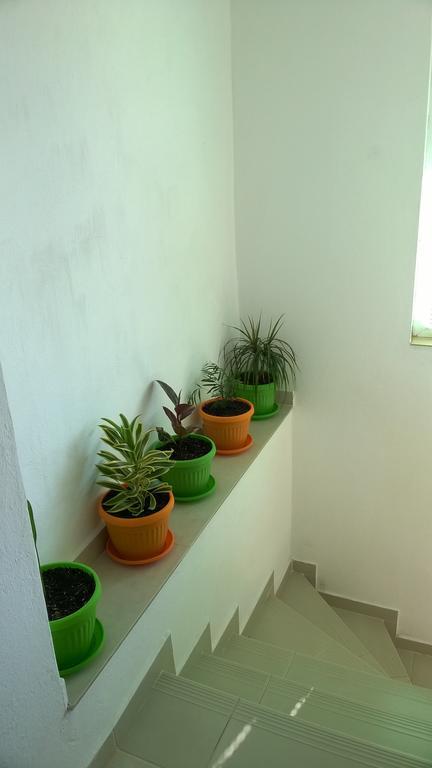 Summer Sz Guest House Sozopol Luaran gambar